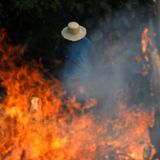 Amazon rainforest wildfires: "Our house is burning"