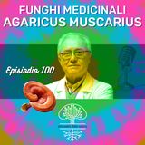 Funghi Medicinali: AGARICUS MUSCARIUS