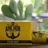Solidarity Ale! Anchor Brewing workers plan to turn closed company into a co-op