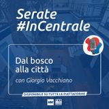 #26 - Dal bosco alla città