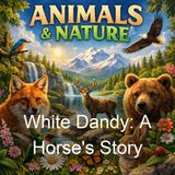 White Dandy A Horse's Story - Velma Caldwell Melville
