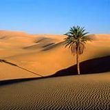 il deserto ... per accoglierlo vittorioso