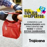 ¿Cuáles son las modalidades de robo más comunes? Experto explica