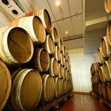 Cosmic Queries – Fermentation