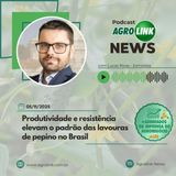 Safra de cevada deve bater recorde no Brasil em 2025