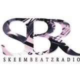 Chicago Artist Demolish Ragheem Stopped by Skeem Beatz Radio Music Review To speak with Mr. Stout and Patricia M. Goins