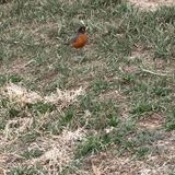 Reverence for Nature