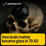 How brain matter suddenly became glass in 79 AD