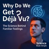 Why Do We Get Déjà Vu? | The Science Behind Familiar Feelings