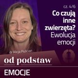 Czy psu bywa wstyd? Ewolucja emocji | OD PODSTAW: Emocje | 4/6 | dr Alicja Puścian