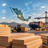 José Ernesto Ceballos Gallardo y el futuro de la importación de madera en México