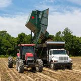 L'ingegno delle piante batte la compattazione