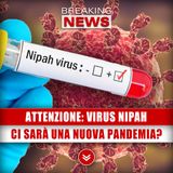 Attenzione, Virus Nipah: Ci Sarà Una Nuova Pandemia?