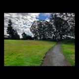 Loops @ Lambrick Park