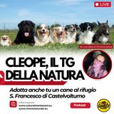 Cleope – Il TG radio della Natura: Adotta un cane del rifugio S. Francesco
