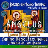 ANGELUS DEL DIA DE HOY LUNES 11 DE AGOSTO 2025, 🙏ORACION A NUESTRA MADRE 🌹LA VIRGEN MARIA 🙏.
