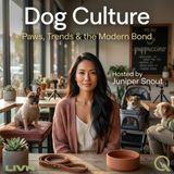 Dog Culture - From Good Boys to Brand Deals: The Rise of the Canine Influencer