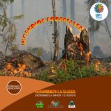 NUESTRO OXÍGENO Incendios Forestales - Apaguemos la llama encendamos la empatía y el respeto