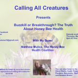 Calling All Creatures Presents Buzzkill or Breakthrough? The Truth About Honey Bee Health