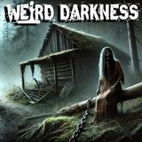 “SOMETHING WATCHES FROM THE TREES: True Paranormal Encounters In The Wilderness” #WeirdDarkness