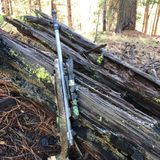 Most Cartridges Can Most of the Time - If You do Your Job