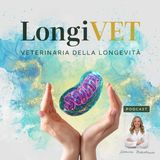 Quando inizia davvero l’invecchiamento del tuo animale?