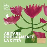 Ep. 6 - La bellezza genera ricchezza