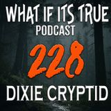 Archive 228 Ghosts and Bigfoot