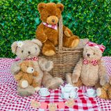 Poetry Bears Picnic 2025: Dr. Diviney's Vision for Creativity and Growth