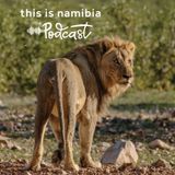 A journey into stillness and wonder at Ongava