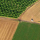 IPCC Climate & Land Report - Ensuring Equitable Solutions to Climate Change