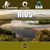 NUESTRO OXÍGENO Ríos, espejo de la naturaleza