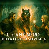 IL CANE NERO DELLA FORESTA SELVAGGIA - Fiaba Tradizionale Irlandese