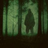 Port Chatham Hairy Man BIGFOOT mystery, with guest Jason Quitt.
