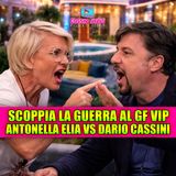 Scoppia la guerra al Gf Vip: Antonella Elia e Dario Cassini ai ferri corti