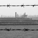Giornata della memoria, FdI: “La città attende le scuse”. Gianesini: “Non siamo in un regime”