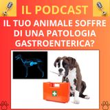 14_Il tuo Animale soffre di una patologia gastroenterica?