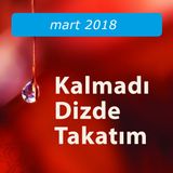 Kalmadı Dizde Takatım / Mart 2018