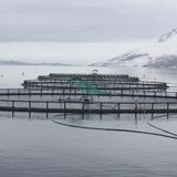 Dall’acquacoltura all’agricoltura il recupero degli scarti collega le filiere
