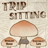 Podcast #19 - Is Tripping For Everyone?