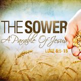 Sowing the seed, Gods Word pt.2