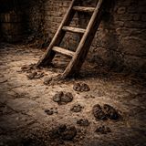 Rungs bite into stone