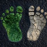 Rob McConnell Interviews - WAYNE BRILLHART - Science Teacher Says Forget About Your Carbon Footprint