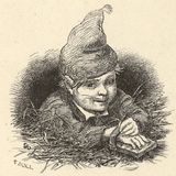 The Gnomes