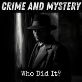 28 - Who Did It? by Nat Gould