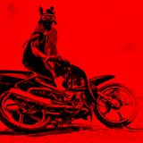 48 - Circus Maximus (2023)
