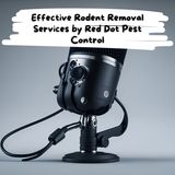 Effective Rodent Removal Services by Red Dot Pest Control