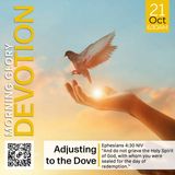 MGD: Adjusting to the Dove