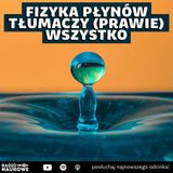 #309 Jak fizycy parzą kawę? O fizyce płynów prof. Maciej Lisicki