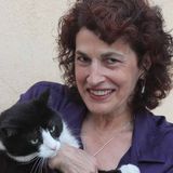 The Secret of Lost Cats - Muzzle Recognition Technology